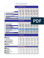 STRAMA ColorSilkEnterprise_Financial Annex