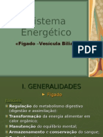 Sistemas Energéticos (4)
