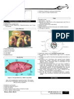 [OS 213] LEC 13 Paragonimus Westermani (a)