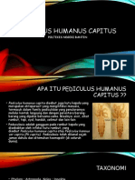 Pediculus Humanus Capitus