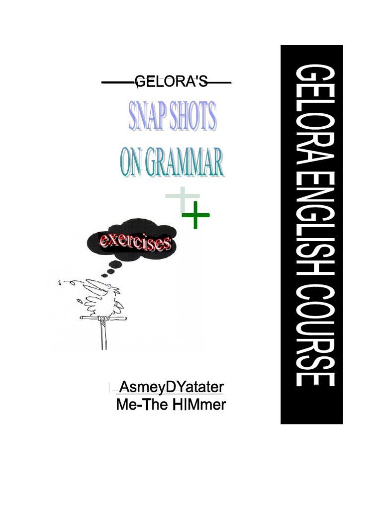 Grammar Snapshots PDF Grammatical Gender Verb