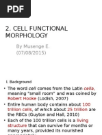 Cell Functional Morphology