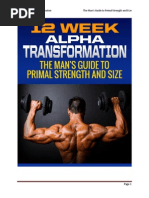 12 Week Alpha Transformation