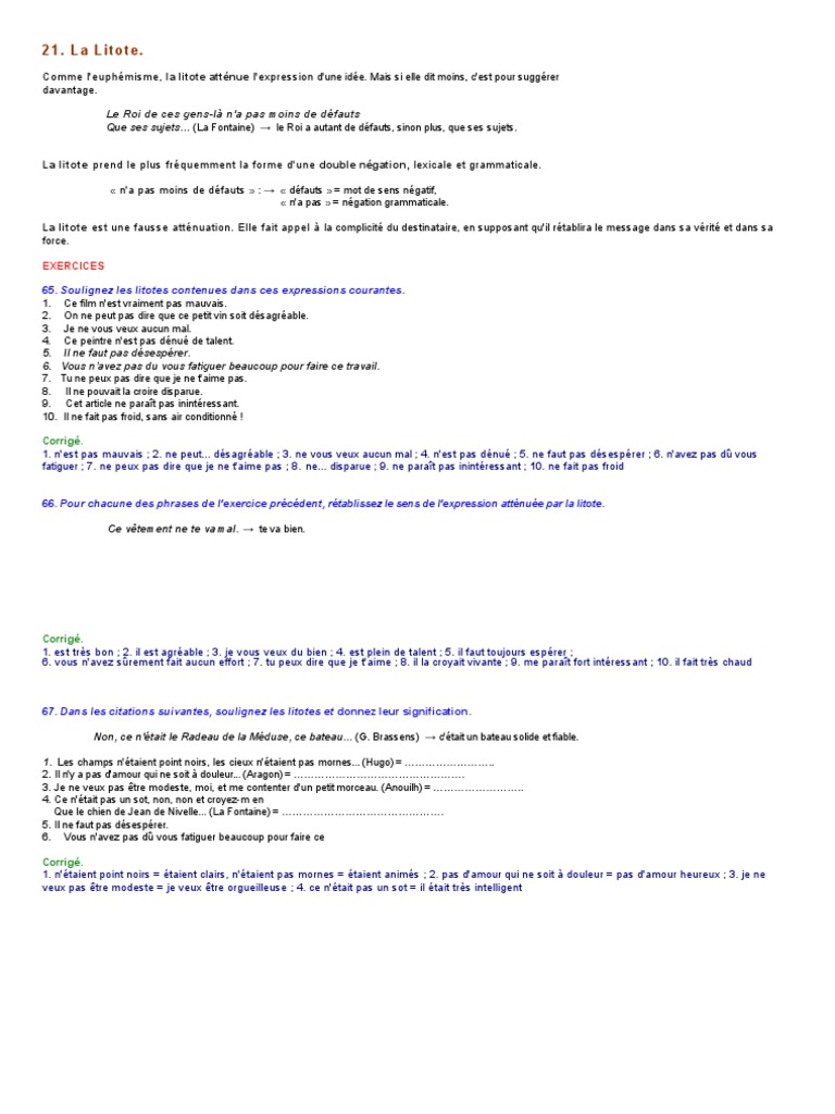 La Litote Lecon Et Exercices