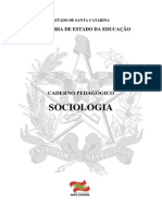 A Sociologia No Brasil