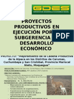 PROYECTOS PRODUCTIVOS_1.ppt