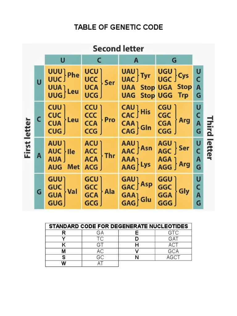 Genetic Code Table for Nucleotides | PDF