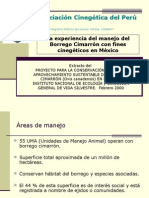 Borrego Cimarrón en México%2c Modelo Para La Taruca.