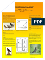 Effects of Bill Pigmentation and UV Reflectance During Territory Establishment in Blackbirds