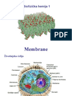 Ćelijska Membrana