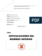 Trabajo Práctico N2 Anatomia