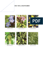 Flores para La Incertidumbre PDF