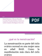 Ciclo Menstrual Gine