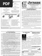Jornaza 29