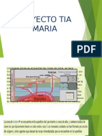 Proyecto Tia Maria