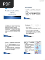 005 Metabolismo de Lipídios (Catabolismo)