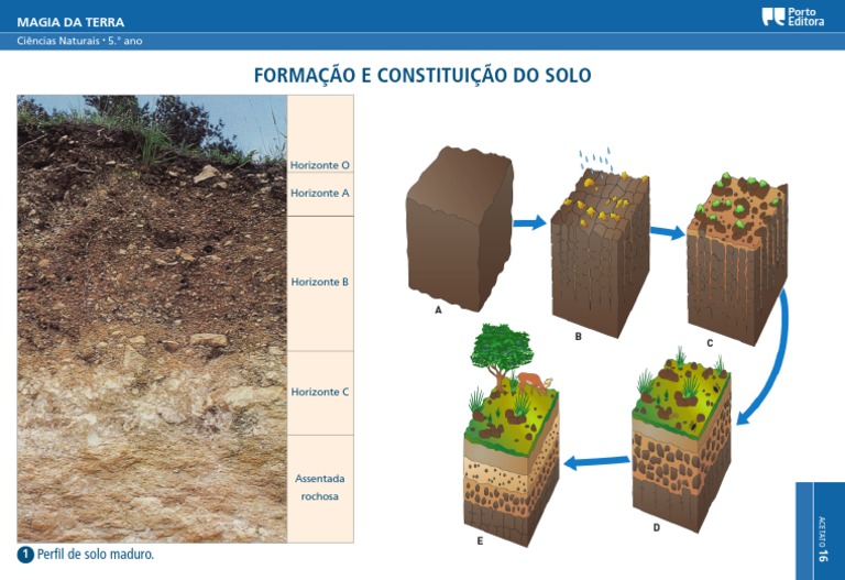Identifique Qual Solo Era Jovem E Qual Era Bem Desenvolvido