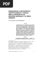 Herramientas o Instrumentos Constitucionales y Legales Para La Defensa de Los Recursos Naturales y El Medio Ambiente