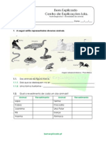 1 Diversidade Dos Animais Teste Diagnóstico 1