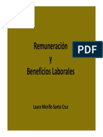 Remuneracion y Beneficios