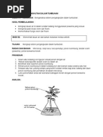 19.3 Sistem Pengangkutan Dalam Tumbuhan