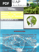Aspectos Conceptuales EIA 1