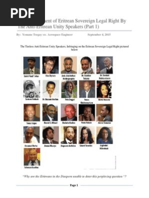 The Infrigment Pdf Eritrea Freedom Of Speech