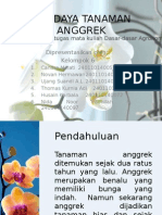 Budidaya Tanaman Anggrek