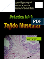 Práctica No. 8 Tejido Muscular Laminas