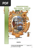 Informe Presión de Vapor