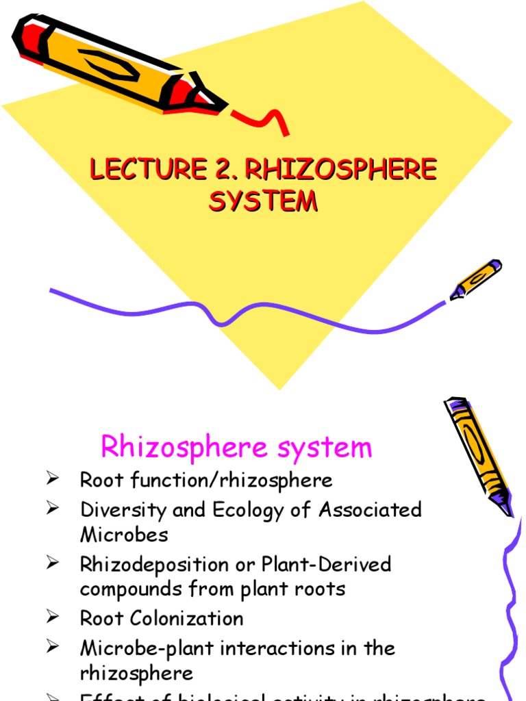 Rhizosphere Microbial Dynamics and Functions | PDF | Root | Soil
