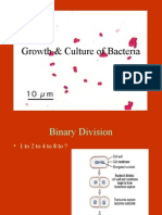 Growth & Culture of Bacteria