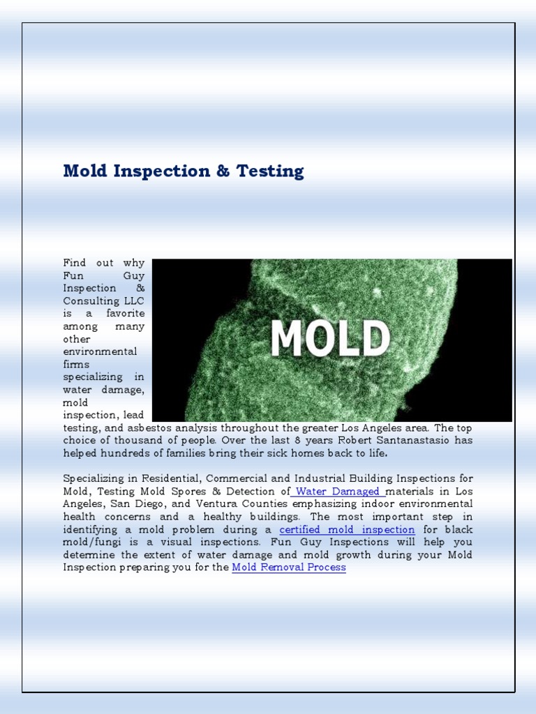 Mold Inspection and Testing Services | PDF | Mold | Fungus