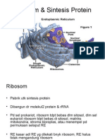 RIBOSOM DAN SINTESIS PROTEIN