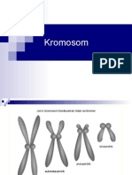 Kromosom