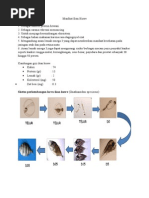 Download Manfaat Ikan Kuwe by rizkafsorigi SN283703910 doc pdf