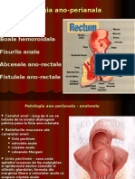 CURS Patologia ano-perineala 1.ppt