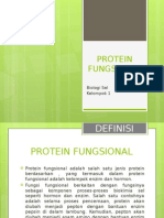 Protein Fungsional