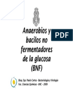 2009 Anaerobios y BNF