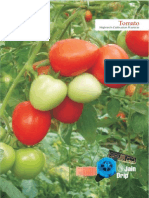 Tomato High-Tech Cultivation Practices-English