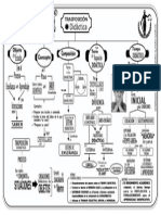 Trasposición Didactica Ok 33