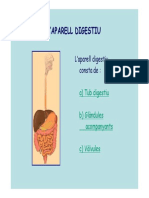 5digestiu 3eso