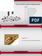 curso_particulasMagneticas2014