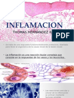 Inflamación