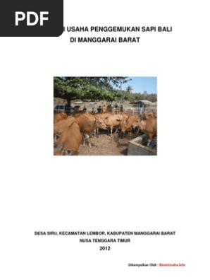 Proposal Usaha Sapi Potong