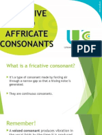 Fricative and Affricate Consonants