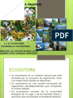 Eco Sistema