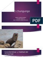 Los Chungungosa