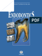 Arnaldo Castellucci - Endodontics (Vol. 2)