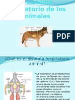 El Sistema Respiratorio de Los Animales